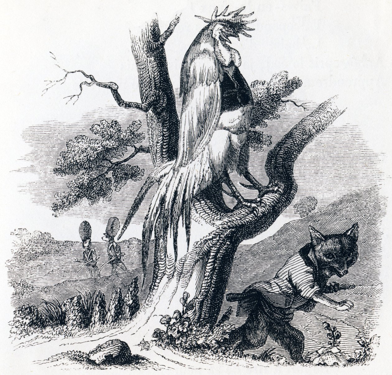 Pekáč a liška - Bajky od La Fontaine od Grandville