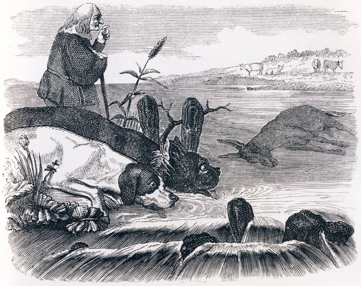 Dva psi a mrtvý osel - Fables od La Fontaine od Grandville