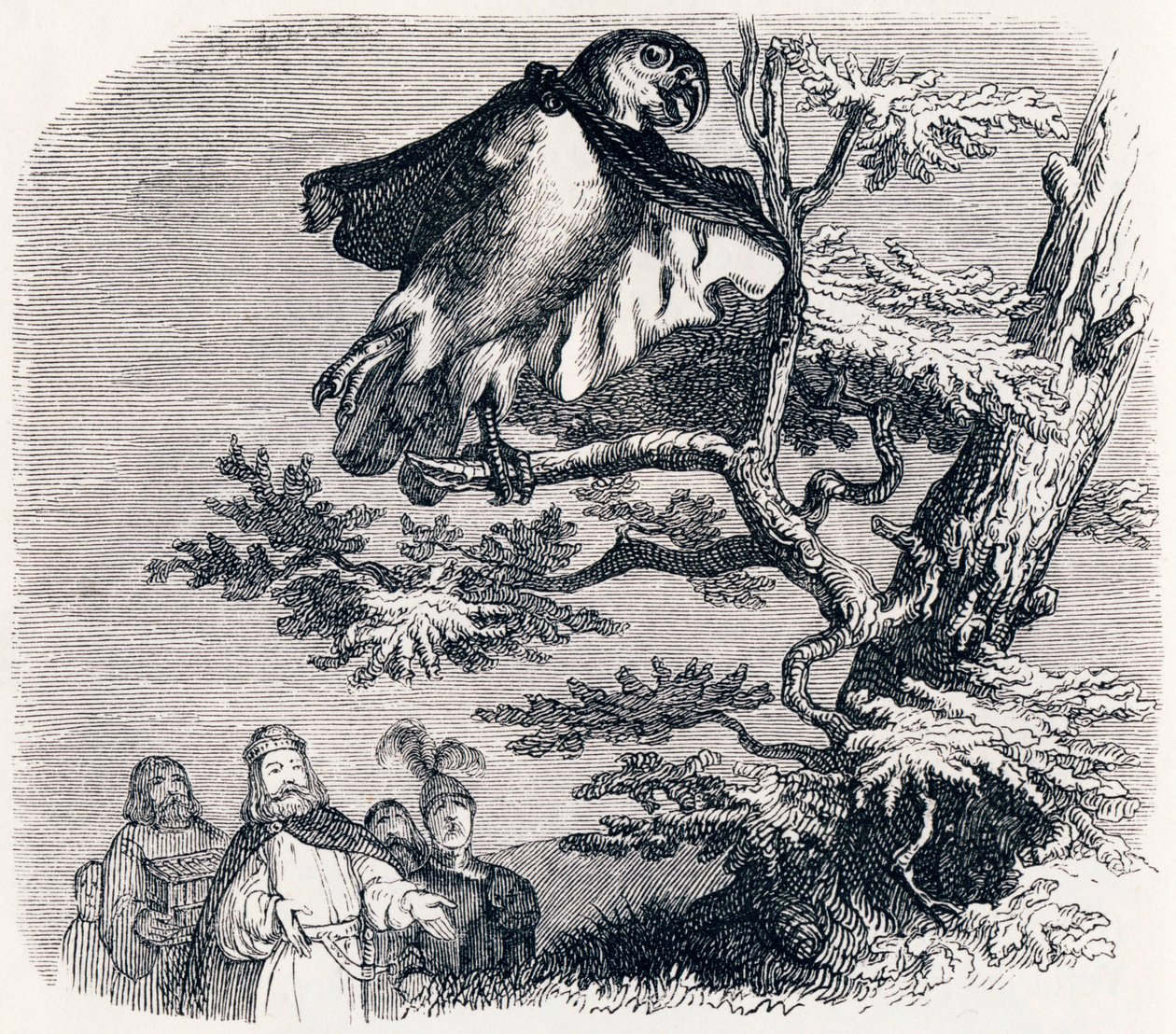 Dva papoušci, král a jeho syn - Fables od La Fontaine od Grandville