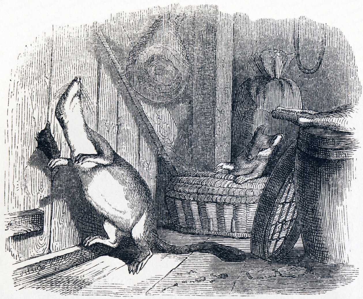 Lasička vstoupí do podkroví - Fables od La Fontaine od Grandville