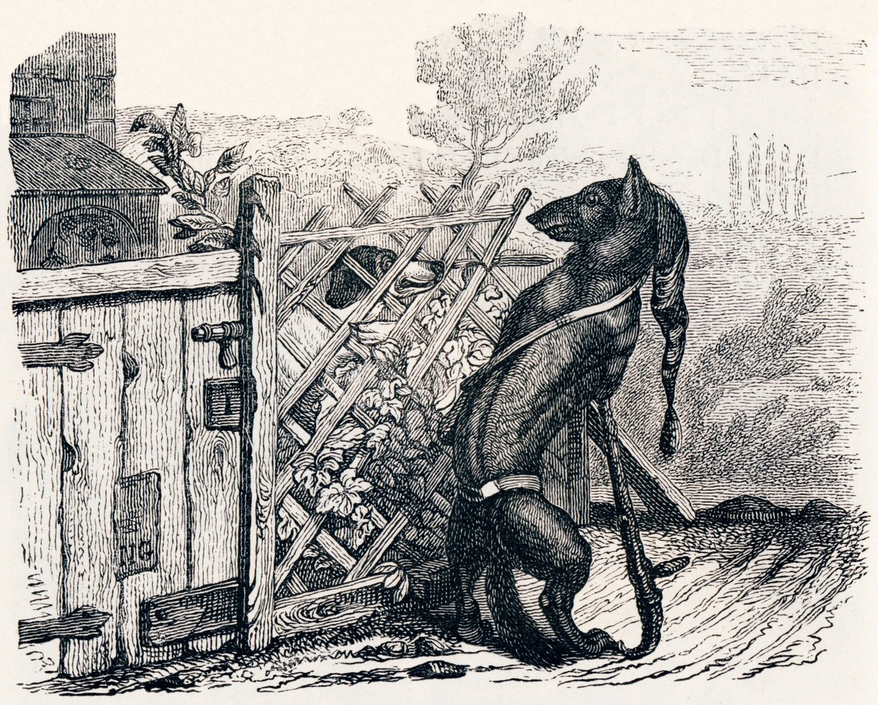 Vlk a hubený pes - Bajky od La Fontaine od Grandville