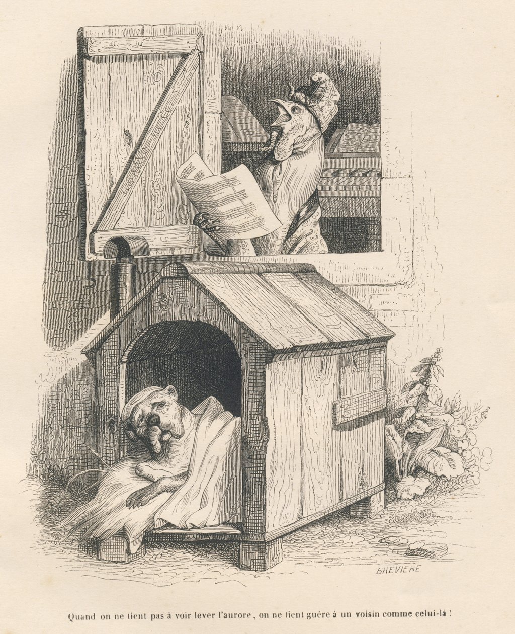 Líného psa ve své boudě probudilo za úsvitu kokrhání kohouta. Miniatury ilustroval JJ Granville. Rytina signovaná Breviere v části "Příběh zajíce" od PJ Stahla ve "Scénách ze soukromého a veřejného života zvířat". Paříž od Grandville