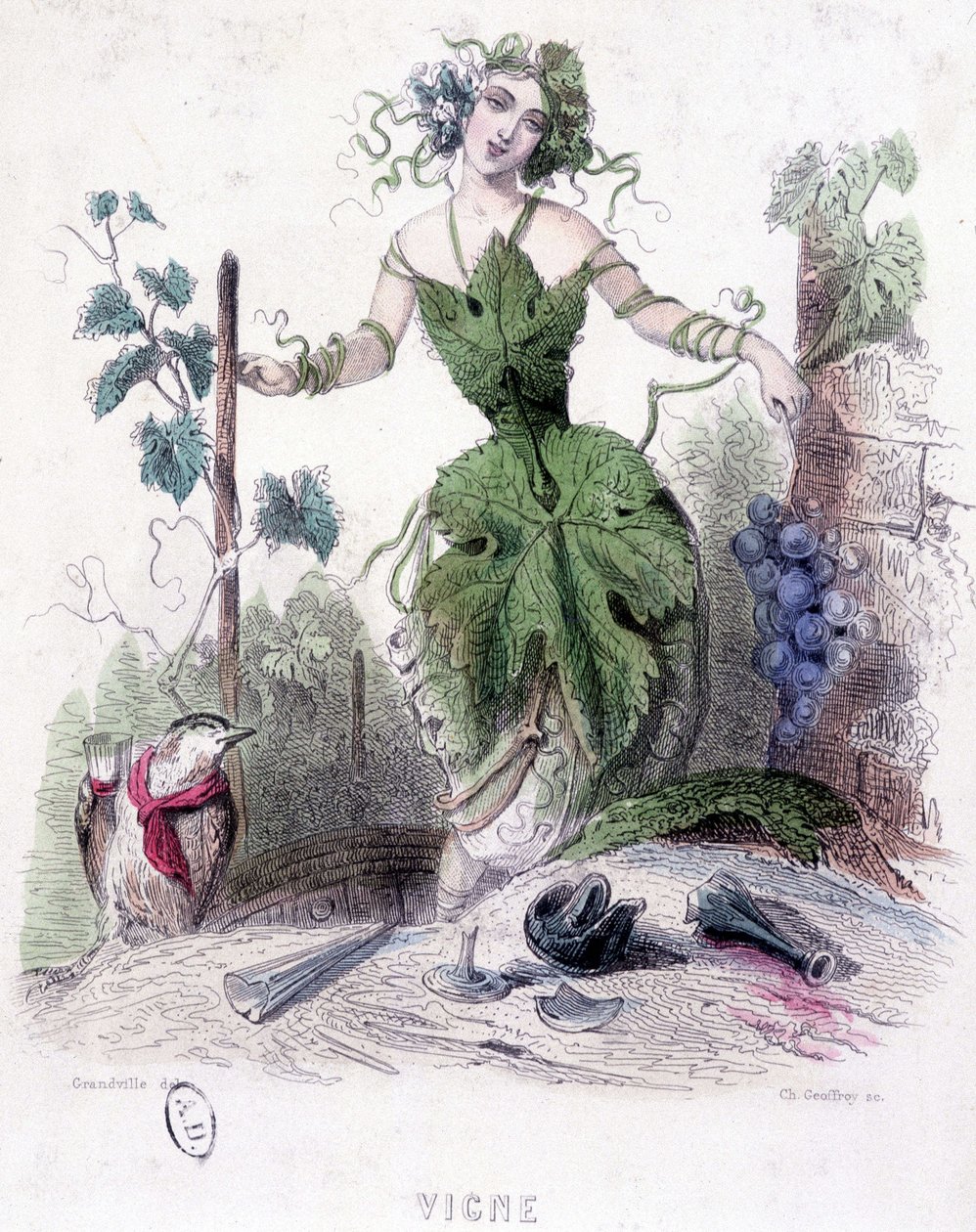 Žena, alegorie vinné révy - kresba Grandville od Grandville