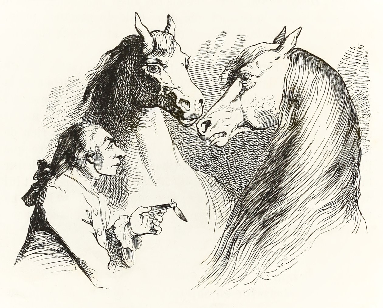 Gulliver hovoří s mluvícími koňmi v Houyhnhnms Land z Gullivers Travels od Jonathana Swifta od Grandville