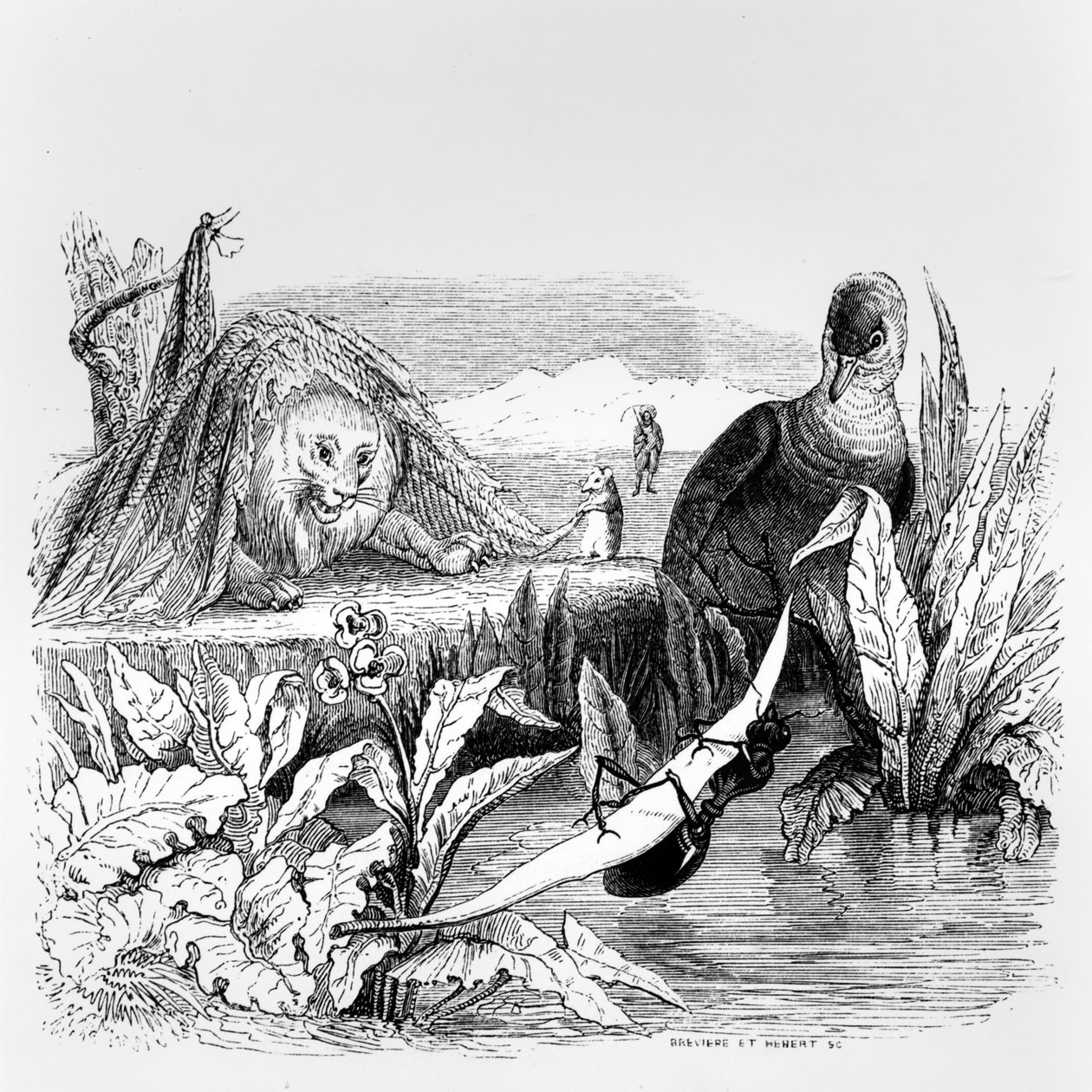 Holubice a mravenec a lev a krysa, ilustrace k 