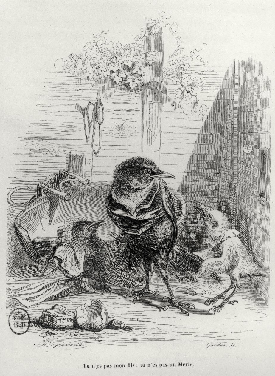 Ilustrace pro LHistoire dun merle blanc, vyryl Gautier od Grandville 1803 47 after Grandville 1803 47 after