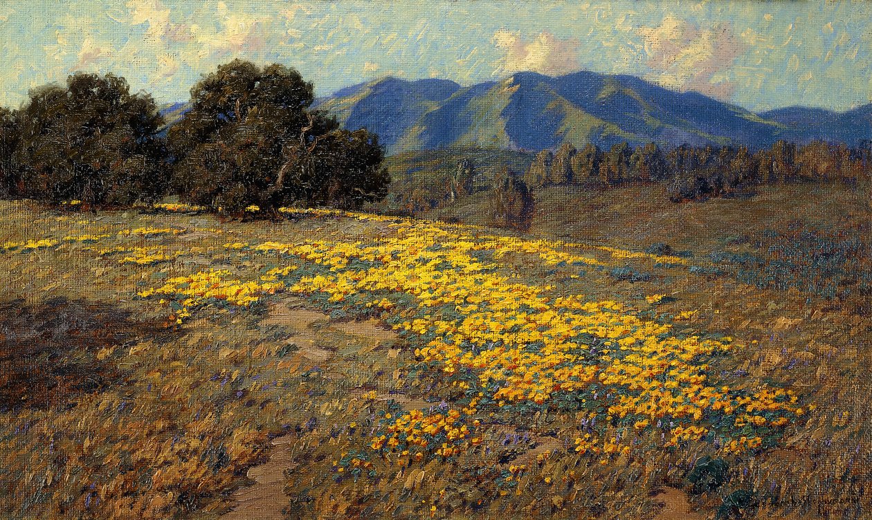 Kalifornské máky od Granville Redmond
