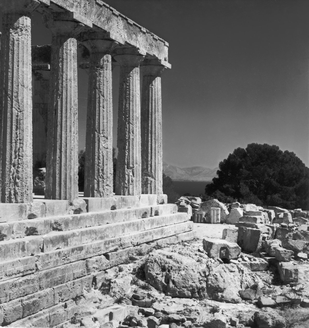 Chrám Aphaia od Greek