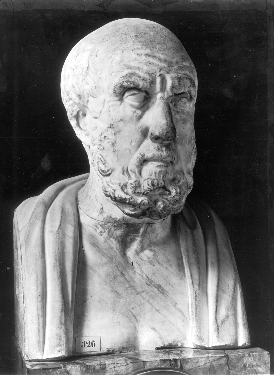 Busta Hippokrata (asi 460-377 př.nl) (mramor) od Greek