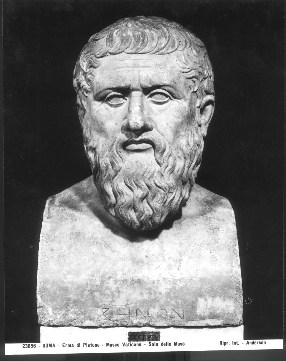 Busta Platóna (asi 427-347 př.nl) od Greek