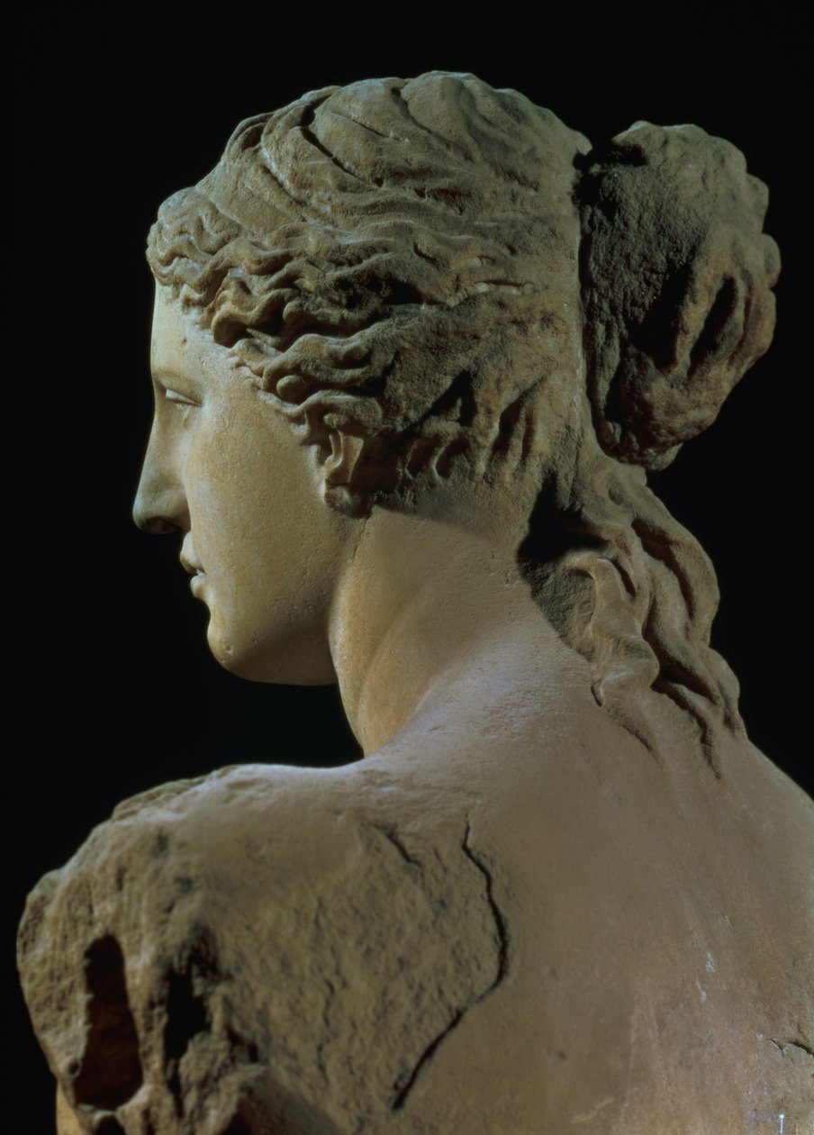 Venus de Milo, detail zadní části hlavy, helénistické období, cca 100 př. nl mramor pro čelní pohled viz 14152 od Greek
