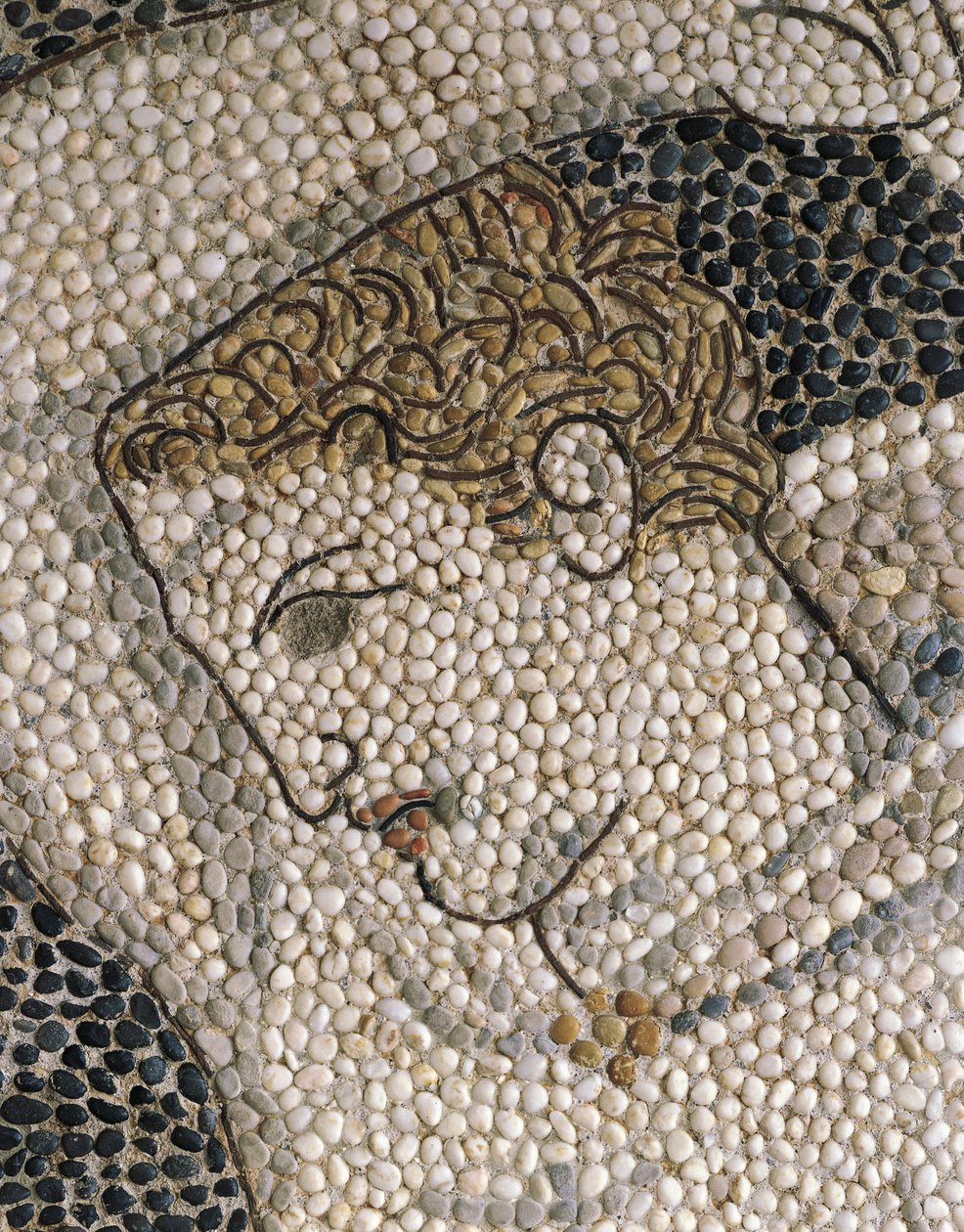 Head of Krateros, cca 320 př. n. l. (mozaika) (detail 332175 & 419063) od Greek School