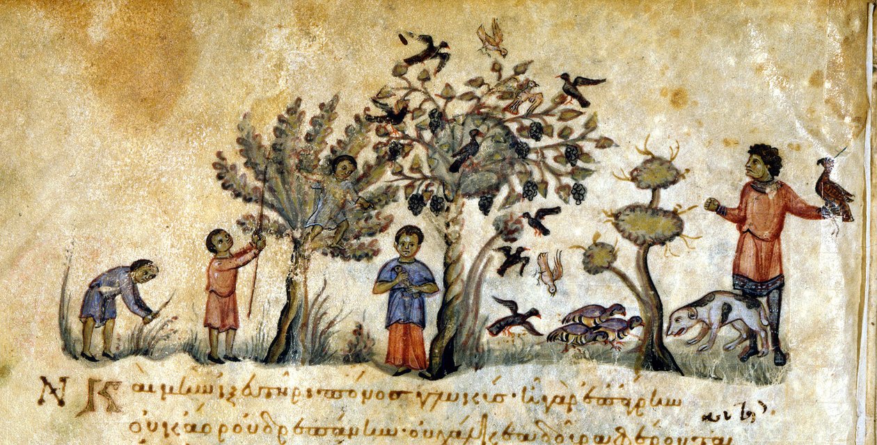 Lov se sokoly k odchytu ptáků – v „“De Venatione““ od Oppiana, řeckém rukopisu ze 13. století. Knihovna Marciana. Benátky od Greek School