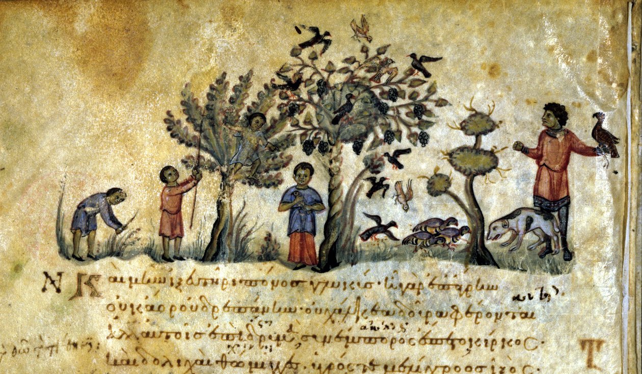 Lov se sokolem a chytání ptačích hnízd. Řecký rukopis Oppianus De Venatione 13. století. od Greek School