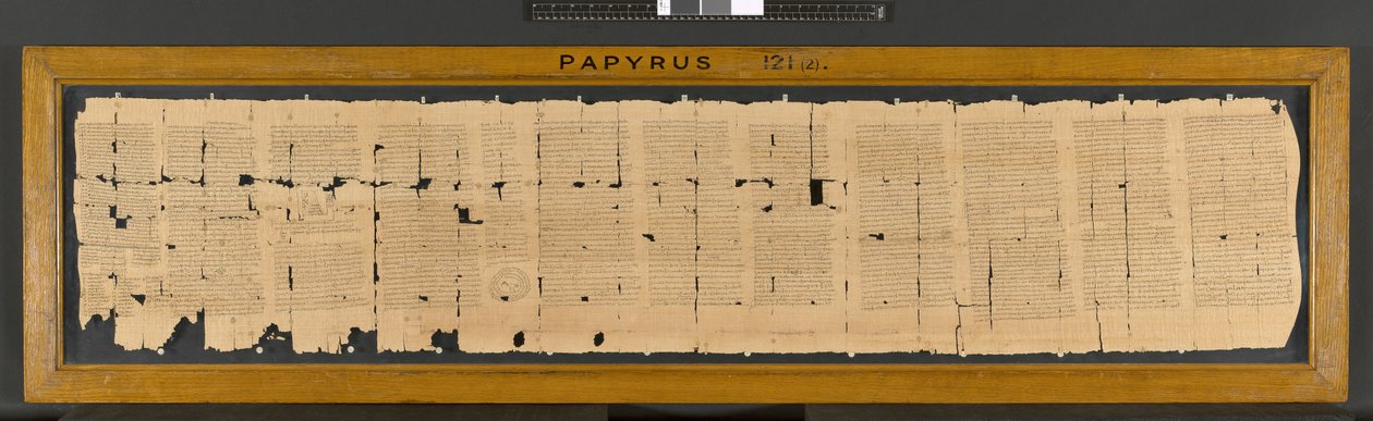 Ibisové kouzlo z papyru 121, 3. století od Greek School