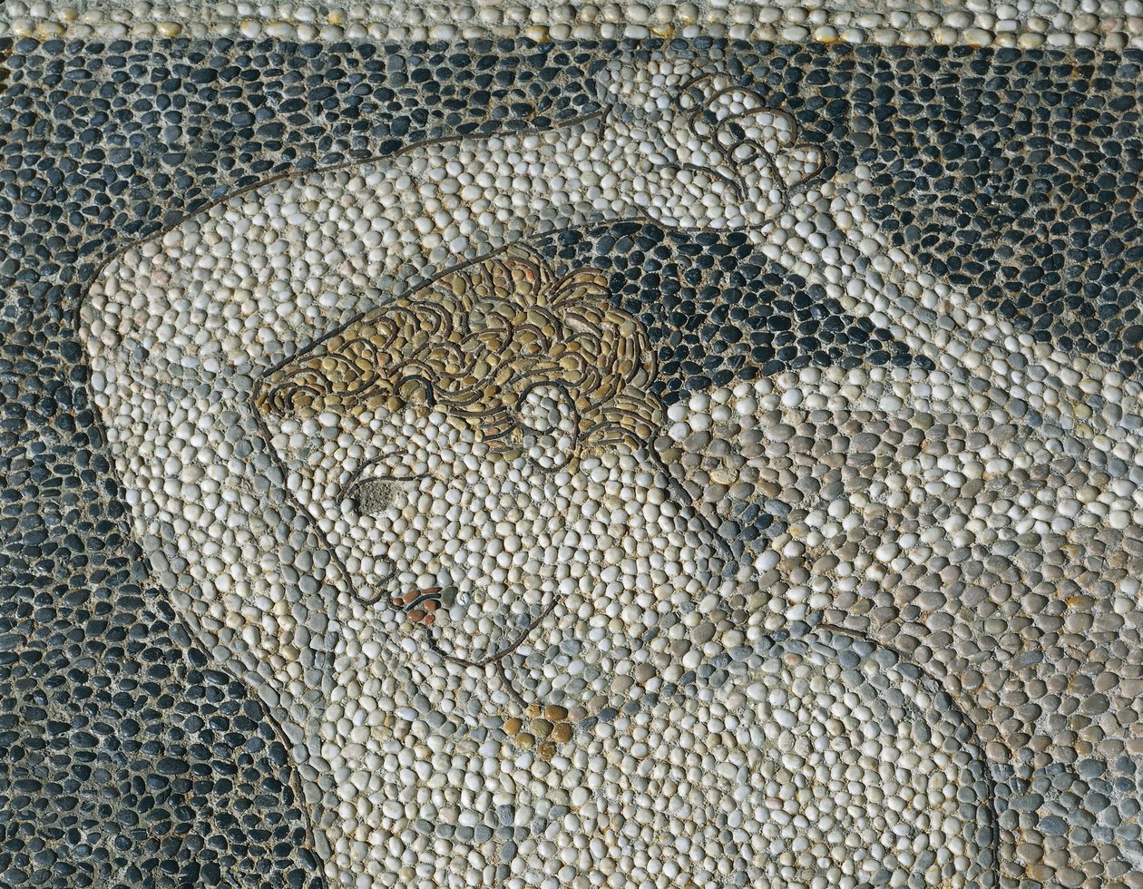 Krateros, cca 320 př. n. l. (mozaika) (detail 332175) od Greek School