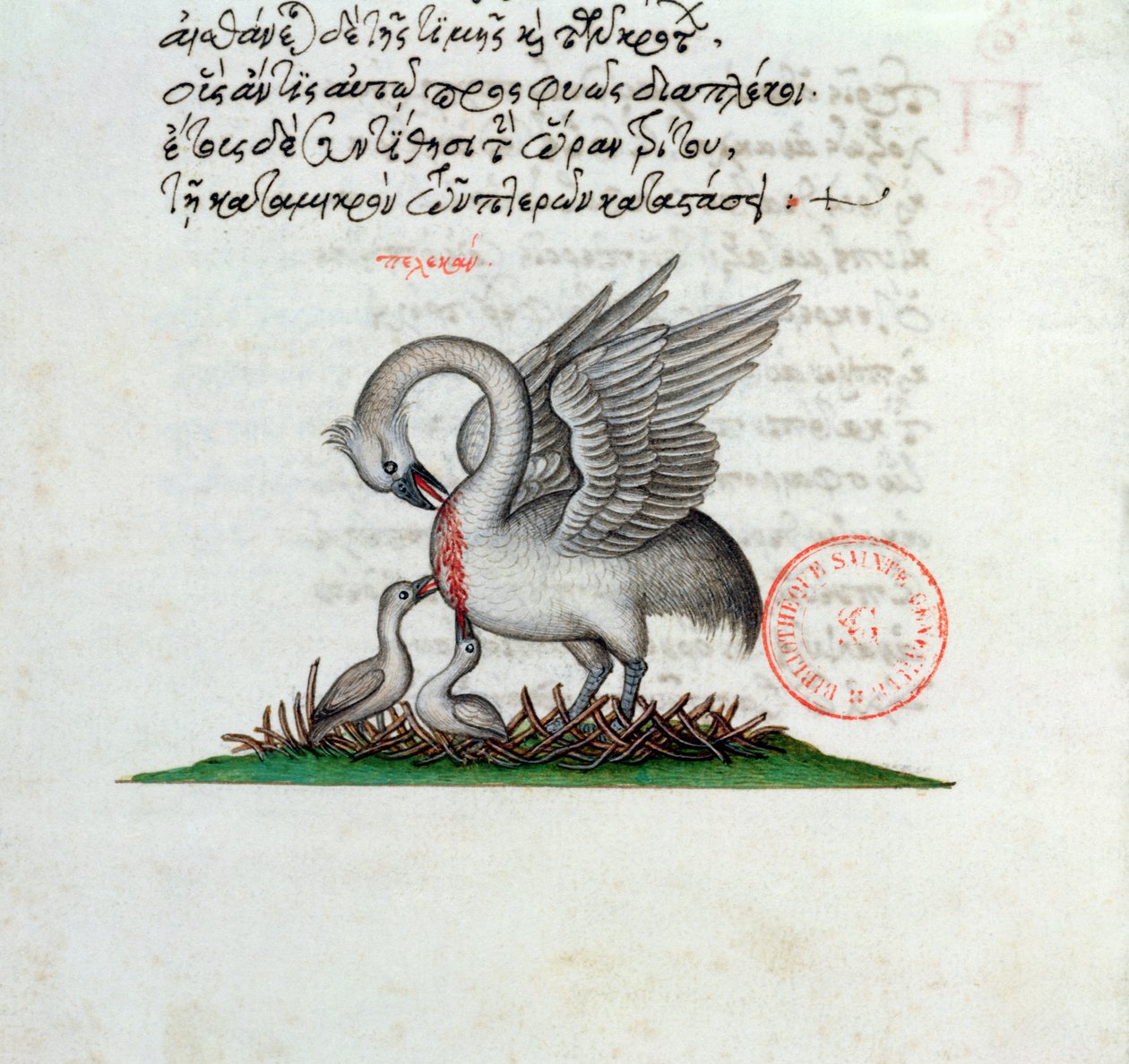 Paní 3401 Pelikán si propíchá prsa, aby nakrmil mláďata, z Bestiáře od Manuela Philese, 1566 od Greek School