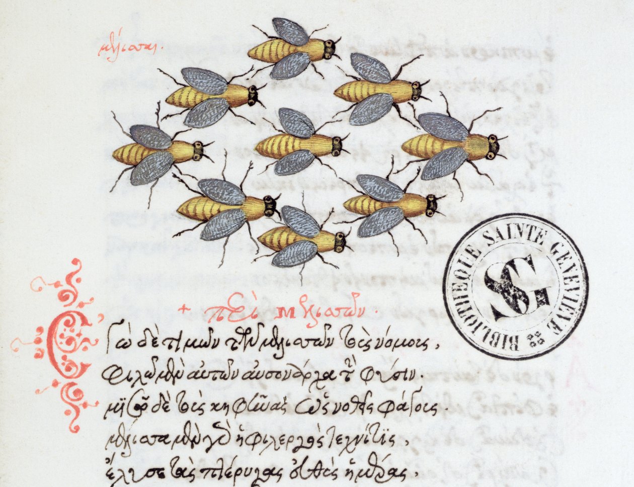 Ms 3402 Bees, z Bestiáře od Manuela Philese, 1566 od Greek School