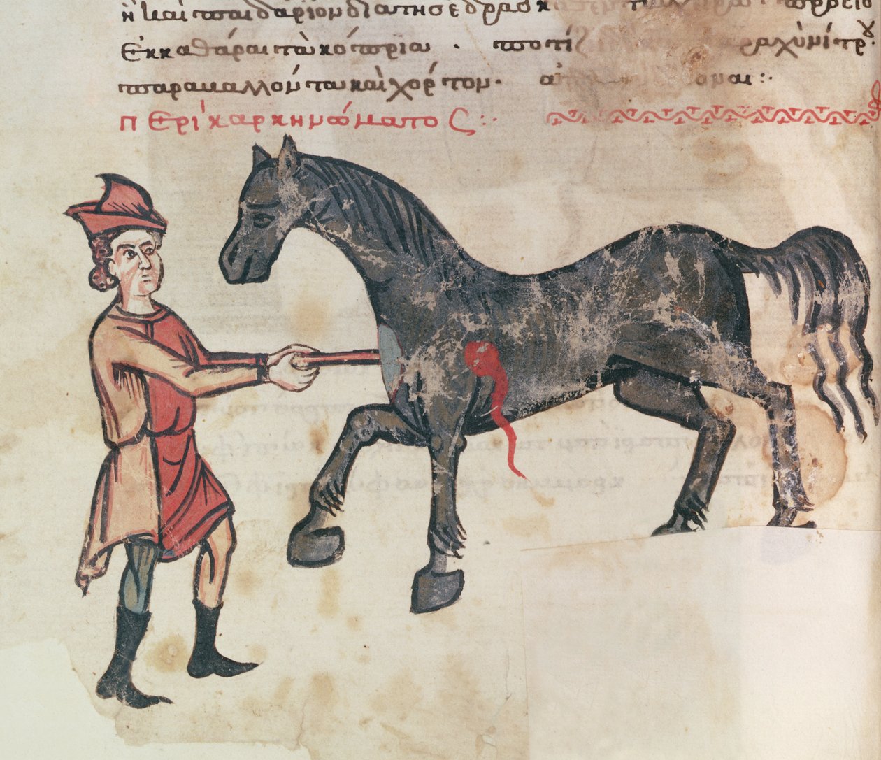 Ms Grec 2244 fol.37v Operace na koni od Greek School