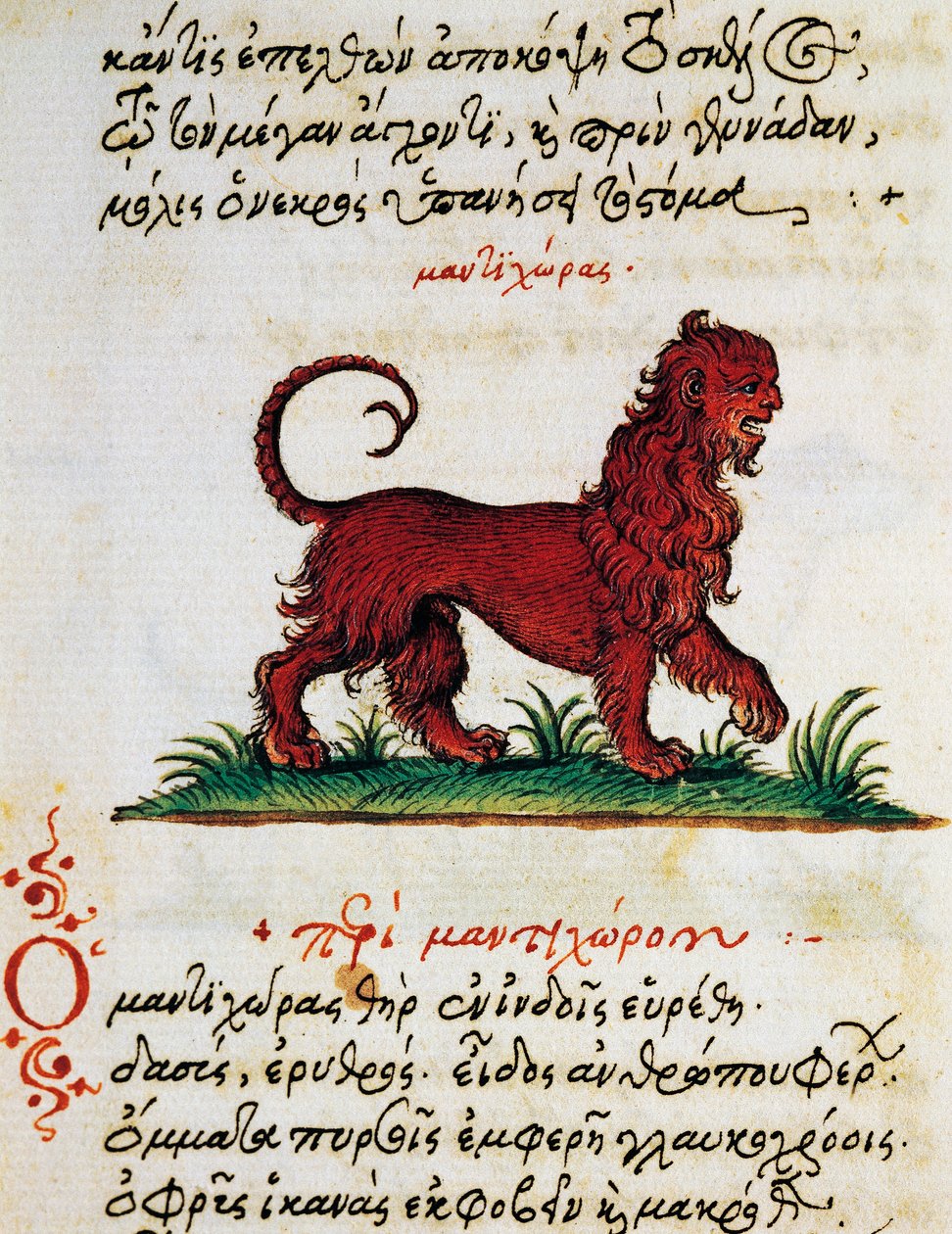 Pojednání o Gryphonovi, test a miniatura z Aelianus (2.-3. století našeho letopočtu) od Greek School