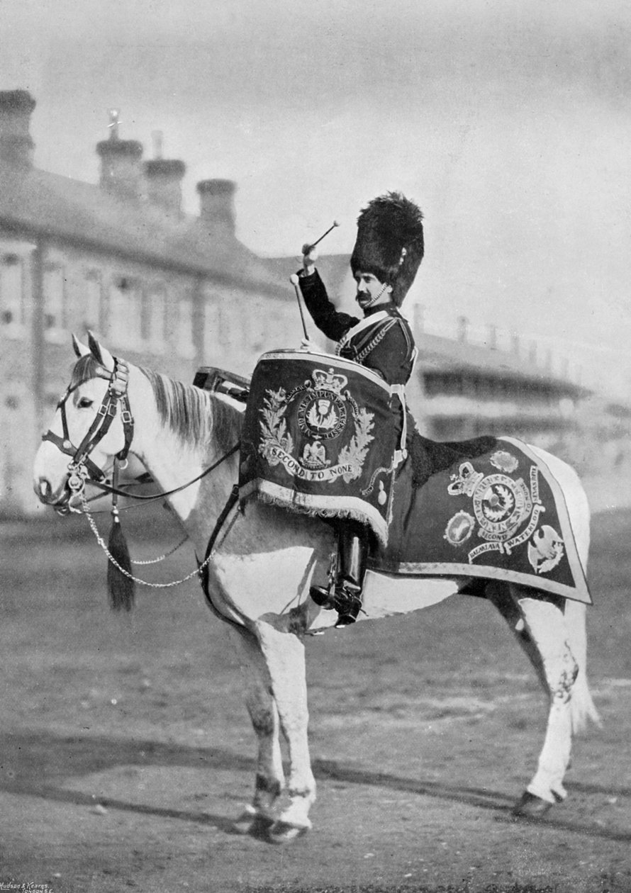Plum Duff, bubenický kůň Royal Scots Greys, 1896 od Gregory and Co