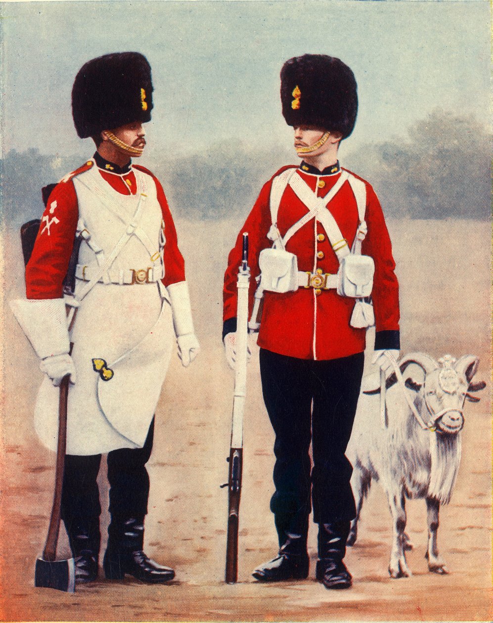 „The Royal Welsh Fusiliers“, 1901. od Gregory and Co