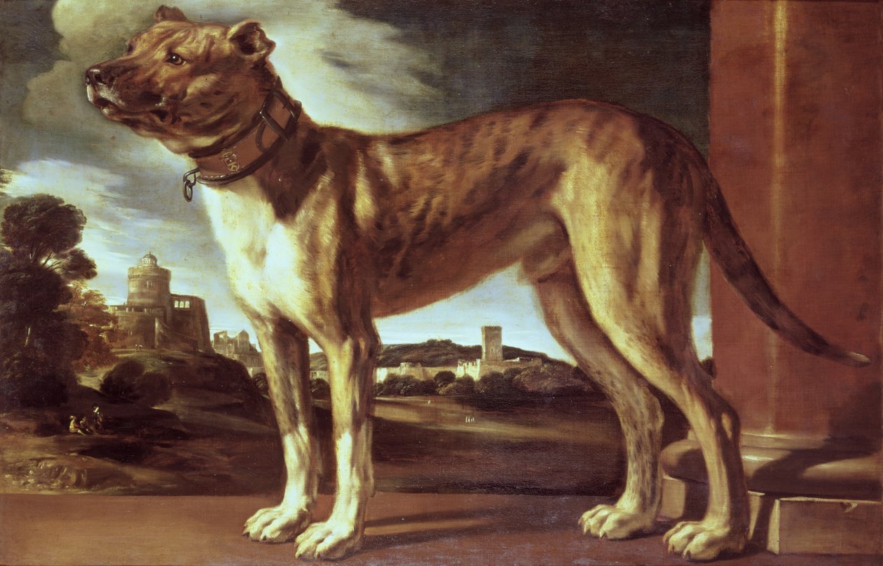 Portrét psa od Giovanni Francesco Barbieri