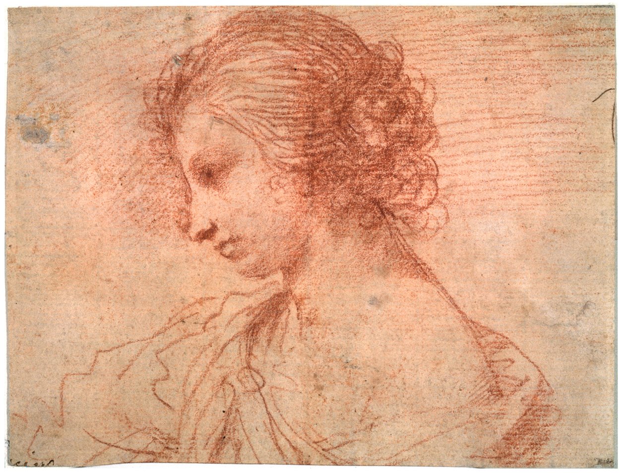 Prsní portrét mladé ženy, 17. století od Guercino