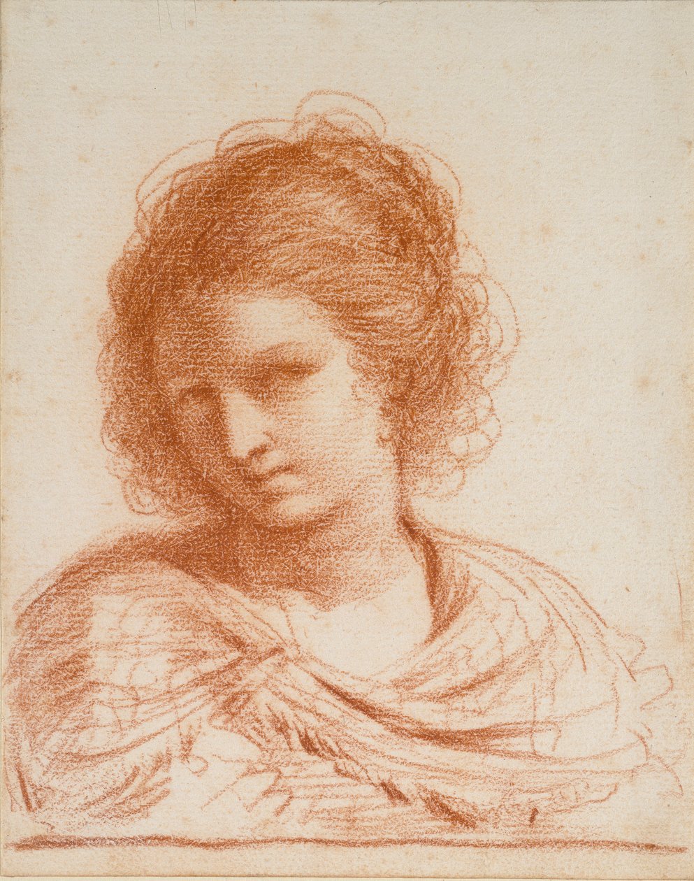 Hlava mladé ženy, 1550-1666 od Guercino