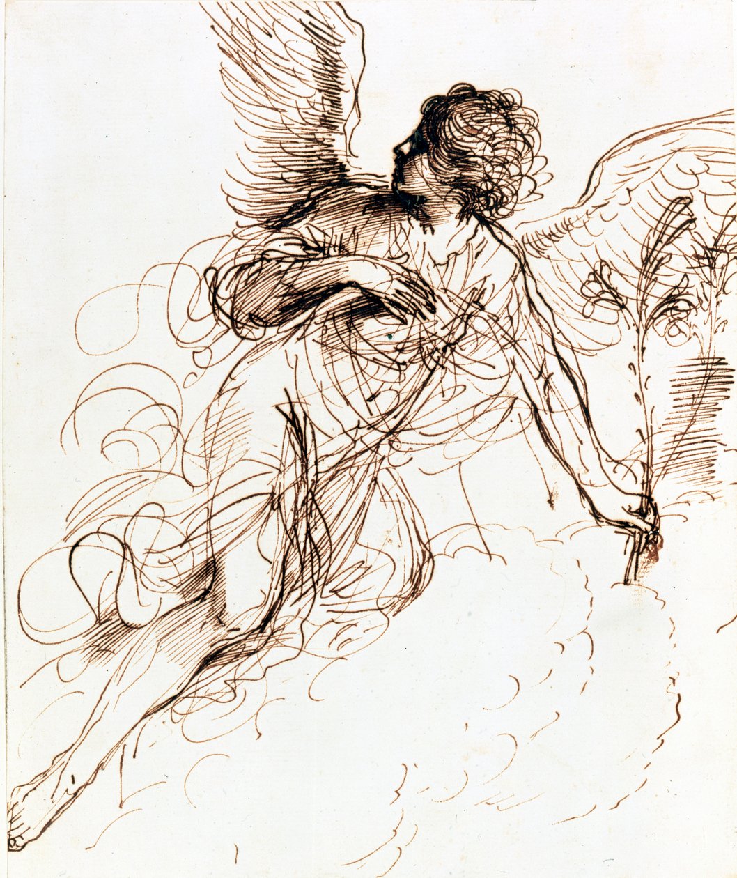 Studie anděla, c1611-1666 od Guercino