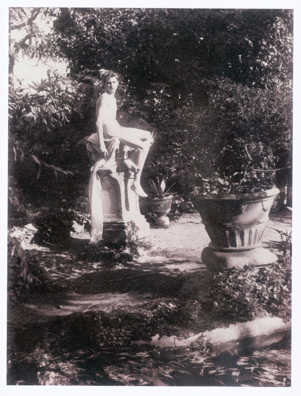 Fotograf (foto) od Guglielmo (1852 1930) Plüschow