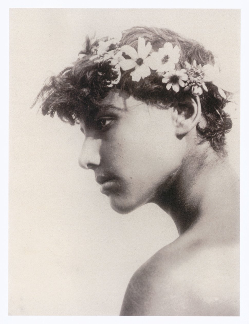 Portrét chlapce (foto) od Guglielmo (1852 1930) Plüschow