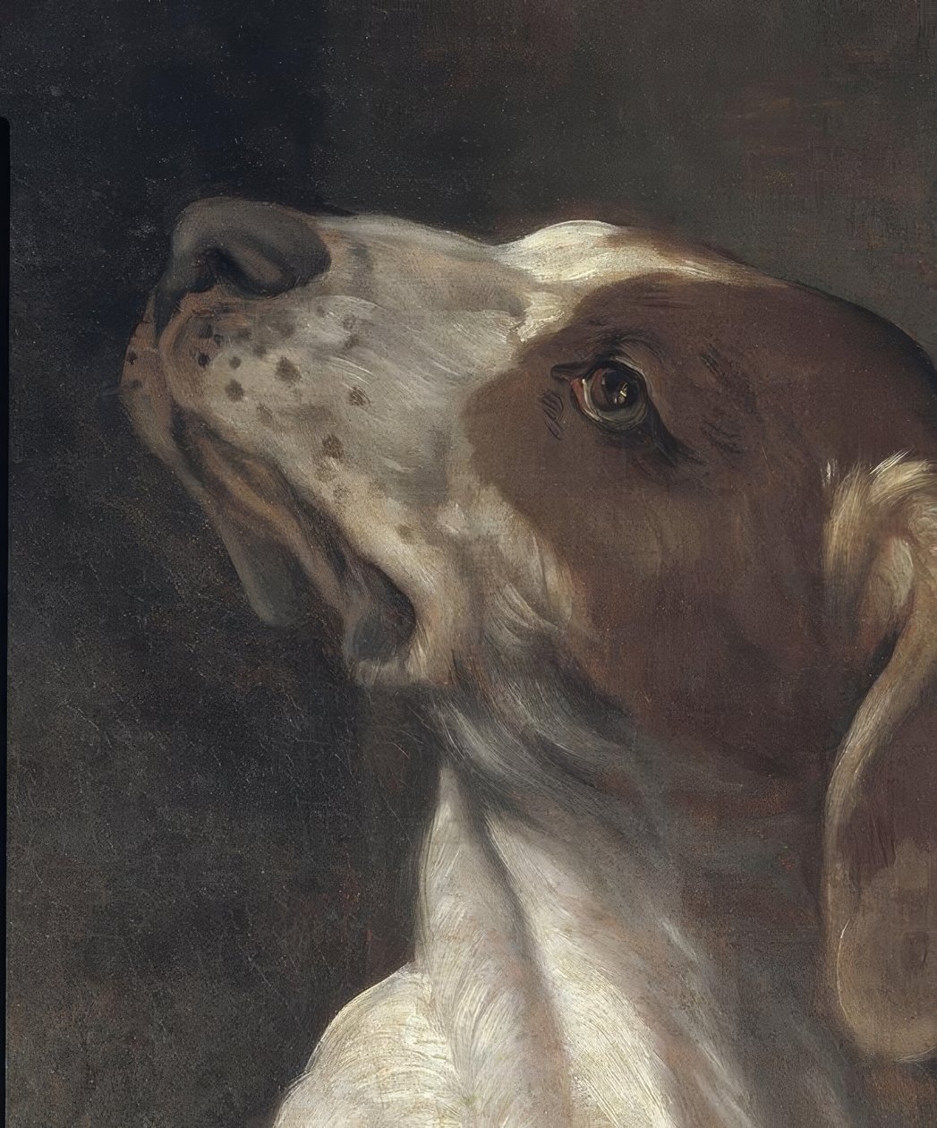 Svatý Roch ve vězení, utěšován andělem od Guido Reni