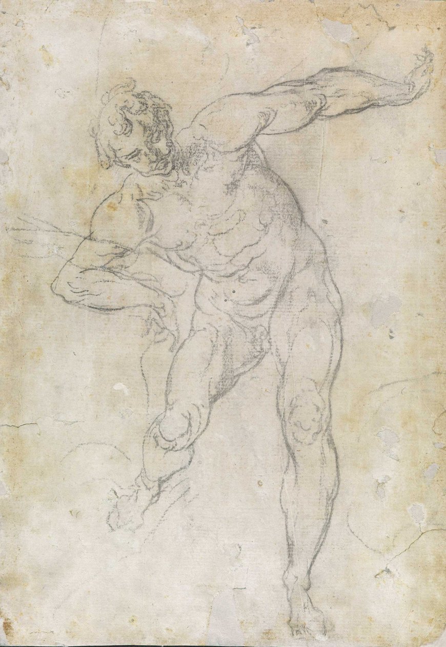 Studie mužského aktu od Guido Reni