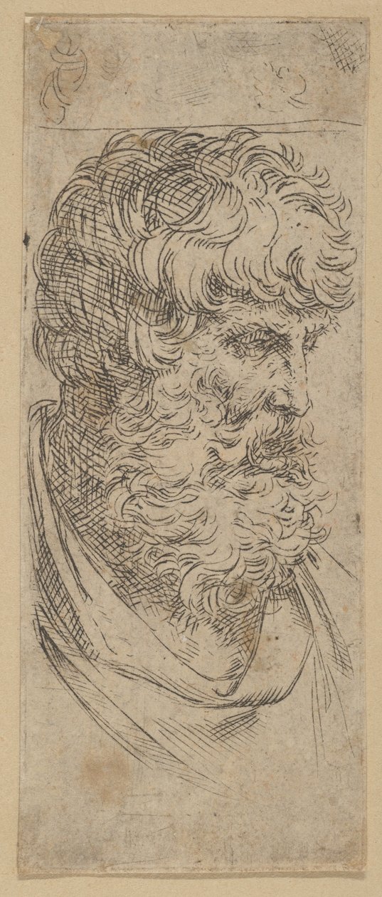 Busta vousatého muže, ca. 1600-1640. od Guido Reni