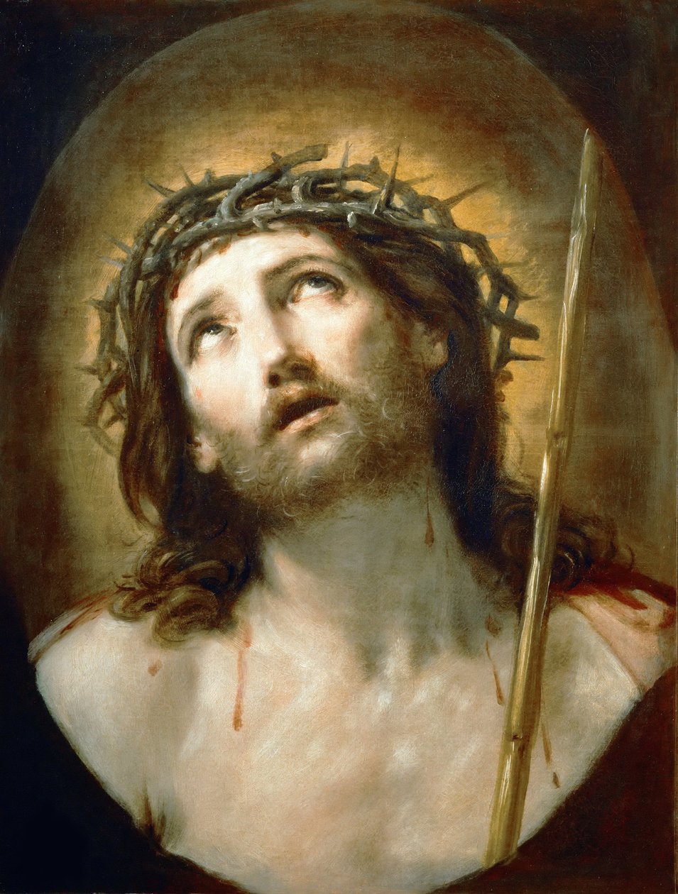 Hle, muž, c. 1635 od Guido Reni
