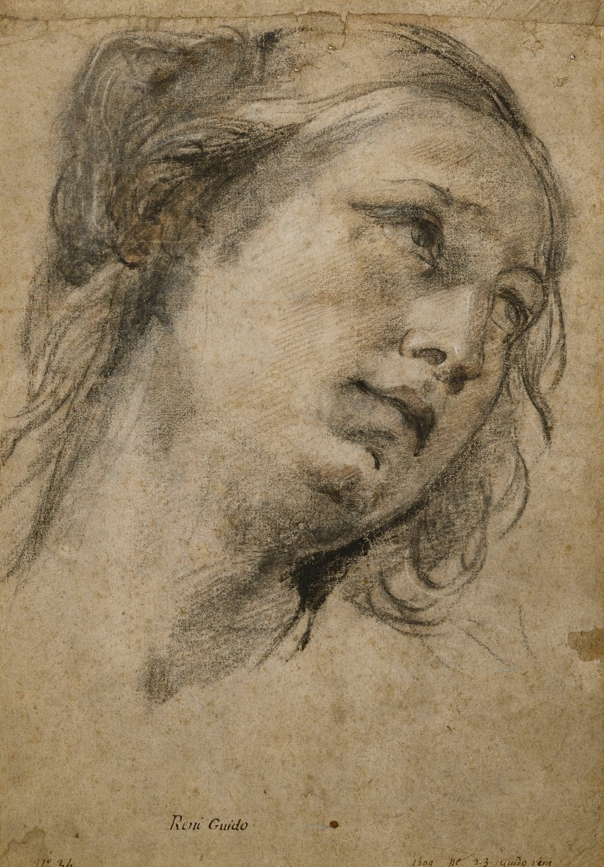 Hlava ženy hledící doprava, od Guido Reni