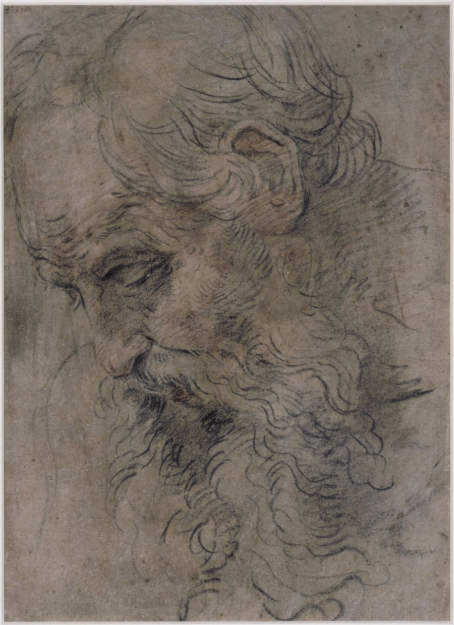 Hlava svatého Pavla Poustevníka od Guido Reni