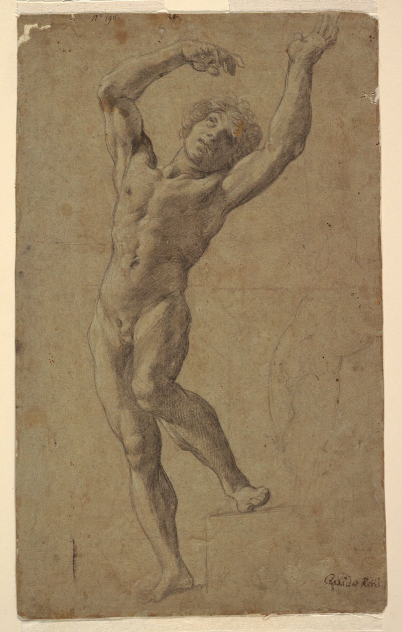 Studium pro St. Sebastian, Pomarici Santomasi Museum, Apulie, Itálie od Guido Reni
