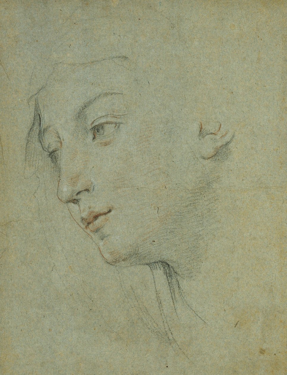 Hlava ženy při pohledu dolů doleva, od Guido Reni