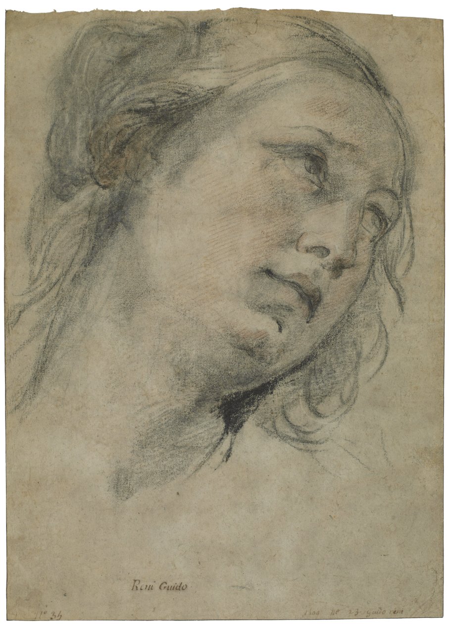 Hlava mladé ženy dívá se vzhůru, kolem roku 1609 (černá a červená křída s doteky bílé křídy na hnědém položeném papíře) od Guido Reni