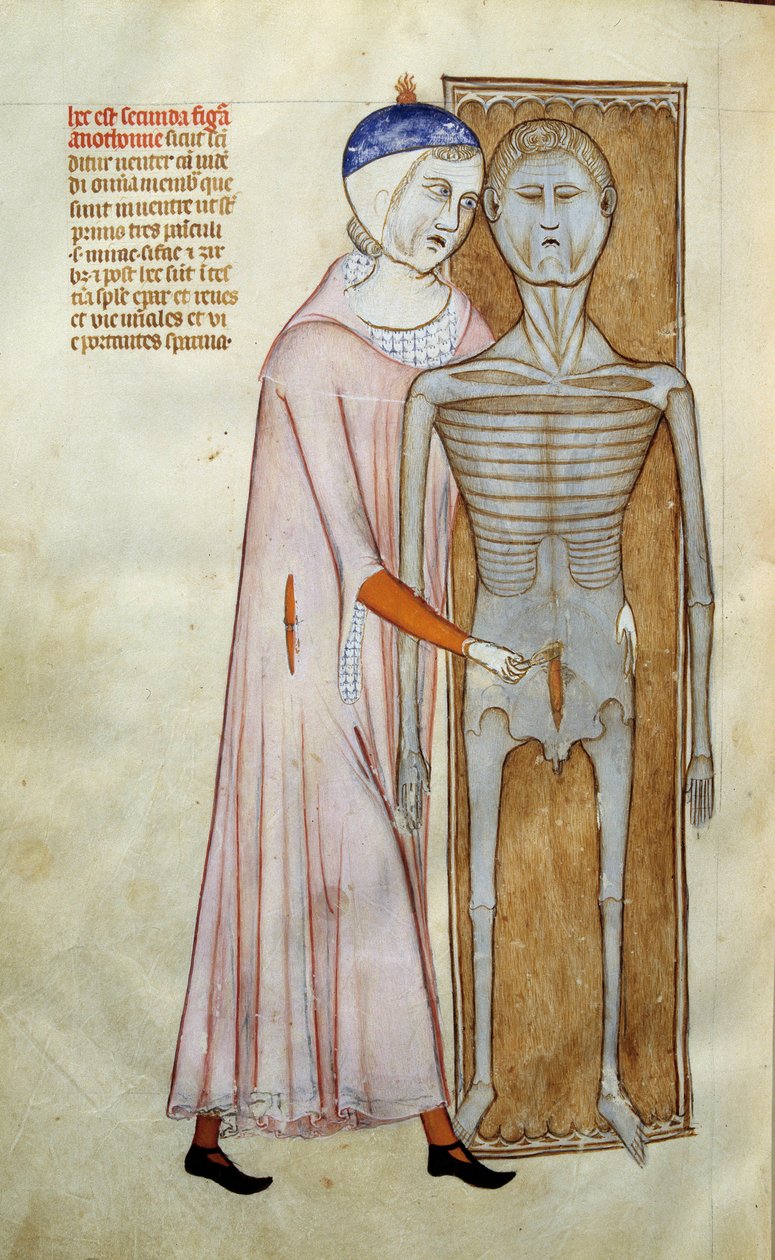 Medicína: anatomie a chirurgická deska představující scénu pitvy – stránka převzata z rukopisu „Liber notables of Philip, sedmý král Franků, extrahovaný z knih Galien““ od Gui de Pavie od Guido da Vigevano da Pavia