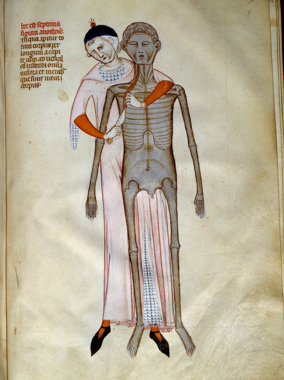 Chirurgie: Pitva hrudníku. Miniatura v knize „Liber notables Philippi, sedmý král Franků, vytažená z knih Galienových““, kterou napsal Gui (Guy) z Pavie od Guido da Vigevano da Pavia