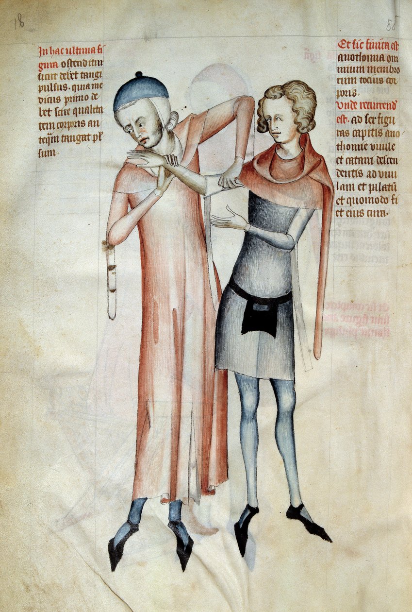 Chirurgie: lékař zkoumá klouby svého pacienta natažením paže (osteopat). Miniatura v knize „Liber notables Philippi, sedmý král Franků, vytažená z knih Galienových““, kterou napsal Gui (Guy) z Pavie od Guido da Vigevano da Pavia