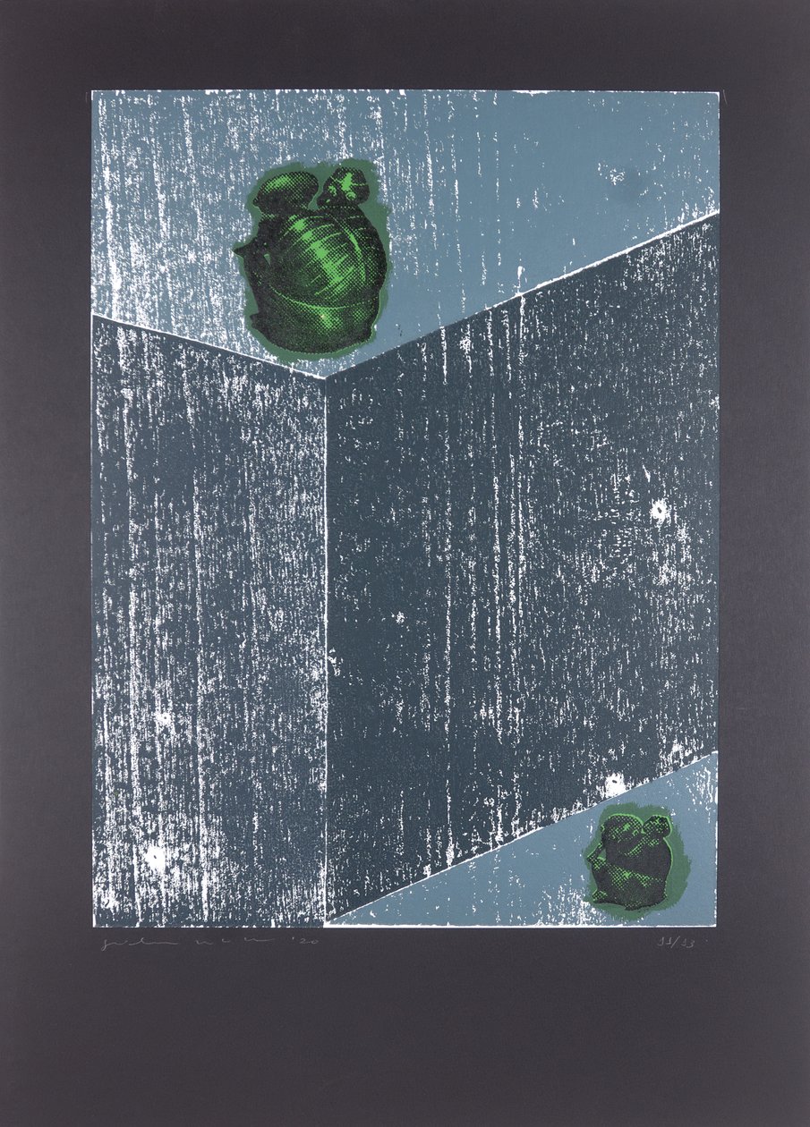 Invisible Room nº8, The Dream Of My Soul, 2019 (dřevořez a sítotisk) od Guilherme Pontes