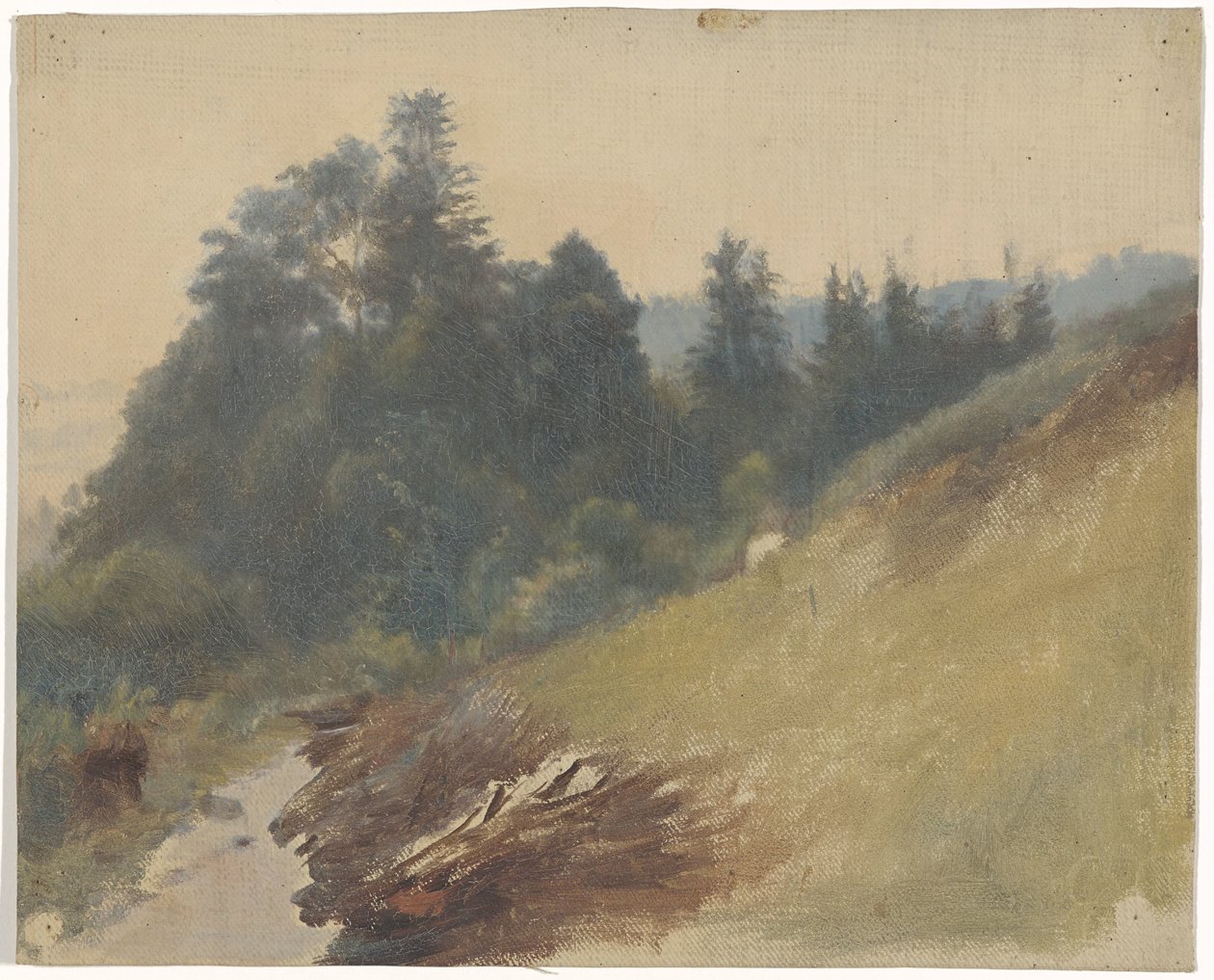 Horský svah s borovicemi od Guillaume Anne van der Brugghen