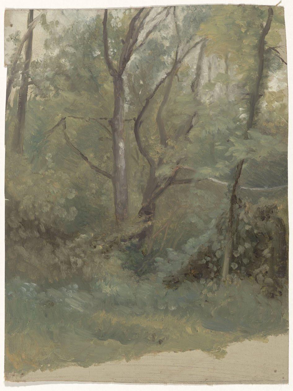výhled na les od Guillaume Anne van der Brugghen