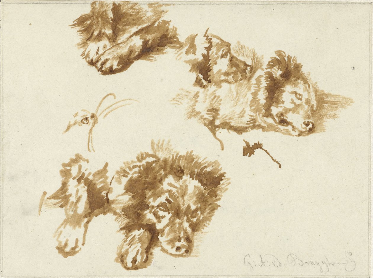 Studie psa od Guillaume Anne van der Brugghen