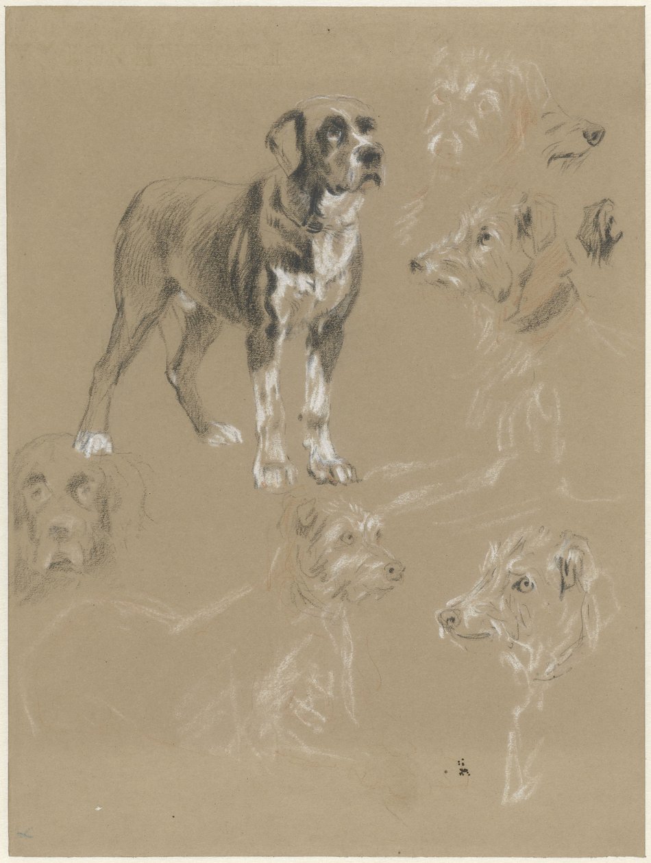 Studie psa od Guillaume Anne van der Brugghen
