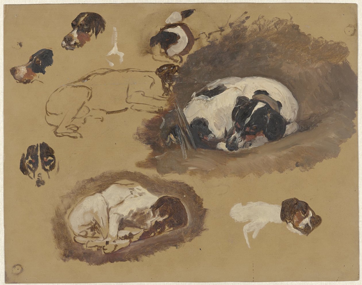 Studie loveckého psa od Guillaume Anne van der Brugghen